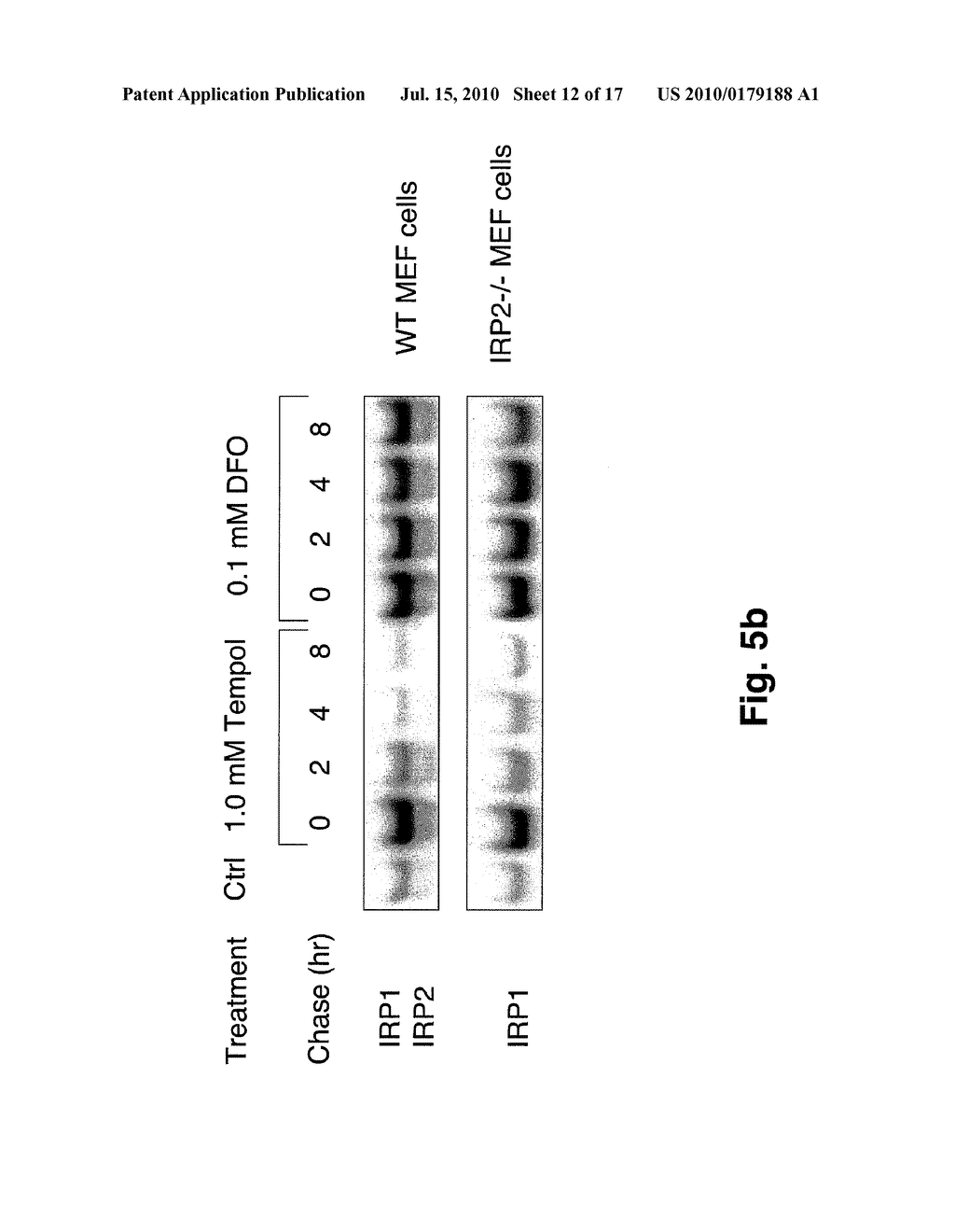 NITROXIDE RADICAL AS TREATMENT FOR NEURODEGENERATION - diagram, schematic, and image 13