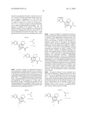 ISOXAZOLINE INSECTICIDES diagram and image