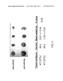 Methods and Compositions Involving miRNAs In Cancer Stem Cells diagram and image