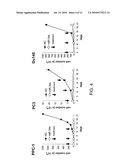 Methods and Compositions Involving miRNAs In Cancer Stem Cells diagram and image