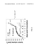 Methods and Compositions Involving miRNAs In Cancer Stem Cells diagram and image