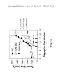 Methods and Compositions Involving miRNAs In Cancer Stem Cells diagram and image