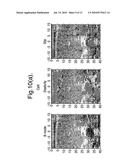 DETERMINATION AND DISPLAY OF MATERIAL PROPERTIES diagram and image