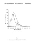 NONINVASIVE MEASUREMENT OF FLAVONOID COMPOUNDS IN BIOLOGICAL TISSUE diagram and image