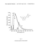 NONINVASIVE MEASUREMENT OF FLAVONOID COMPOUNDS IN BIOLOGICAL TISSUE diagram and image