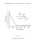 NONINVASIVE MEASUREMENT OF FLAVONOID COMPOUNDS IN BIOLOGICAL TISSUE diagram and image