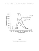 NONINVASIVE MEASUREMENT OF FLAVONOID COMPOUNDS IN BIOLOGICAL TISSUE diagram and image