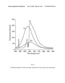 NONINVASIVE MEASUREMENT OF FLAVONOID COMPOUNDS IN BIOLOGICAL TISSUE diagram and image