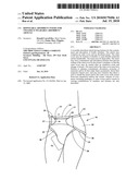 Disposable Absorbent Insert for Two-Piece Wearable Absorbent Article diagram and image