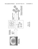 METHOD FOR IMPROVING MECHANICAL PROPERTIES OF POLYMER PARTICLES AND ITS APPLICATIONS diagram and image