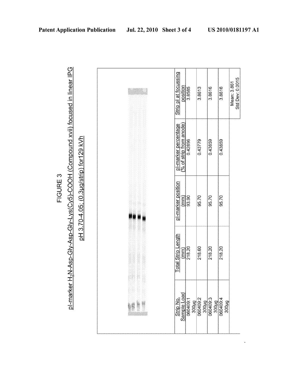 ISOELECTRIC POINT MARKERS - diagram, schematic, and image 04