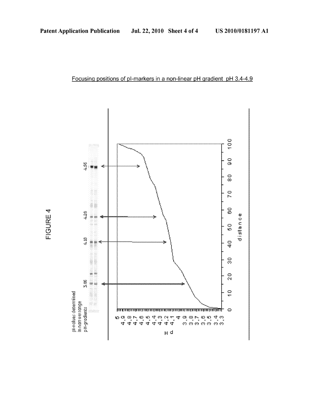 ISOELECTRIC POINT MARKERS - diagram, schematic, and image 05