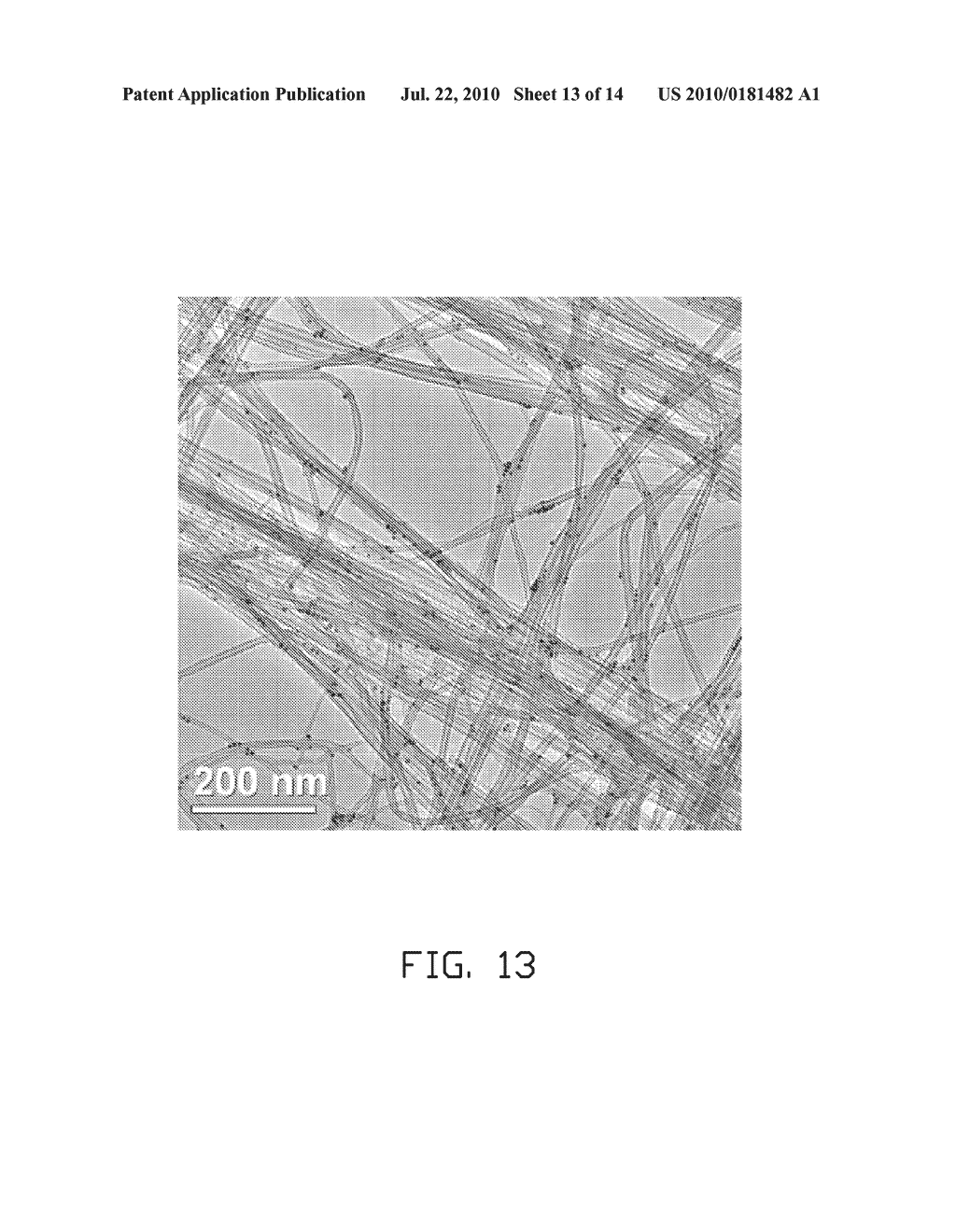 TRANSMISSION ELECTRON MICROSCOPE MICRO-GRID - diagram, schematic, and image 14