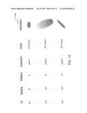 VIRTUAL FACETED HARD MEDIA IMAGING diagram and image