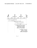 METHODS AND DEVICES FOR TRANSMITTING DATA IN THE RELAY STATION AND THE BASE STATION diagram and image