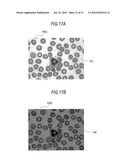 CELL IMAGE PROCESSING APPARATUS, CELL IMAGE PROCESSING METHOD AND COMPUTER PROGRAM PRODUCT diagram and image