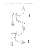 SELF COUPLING RECOMBINANT ANTIBODY FUSION PROTEINS diagram and image