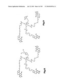 SELF COUPLING RECOMBINANT ANTIBODY FUSION PROTEINS diagram and image