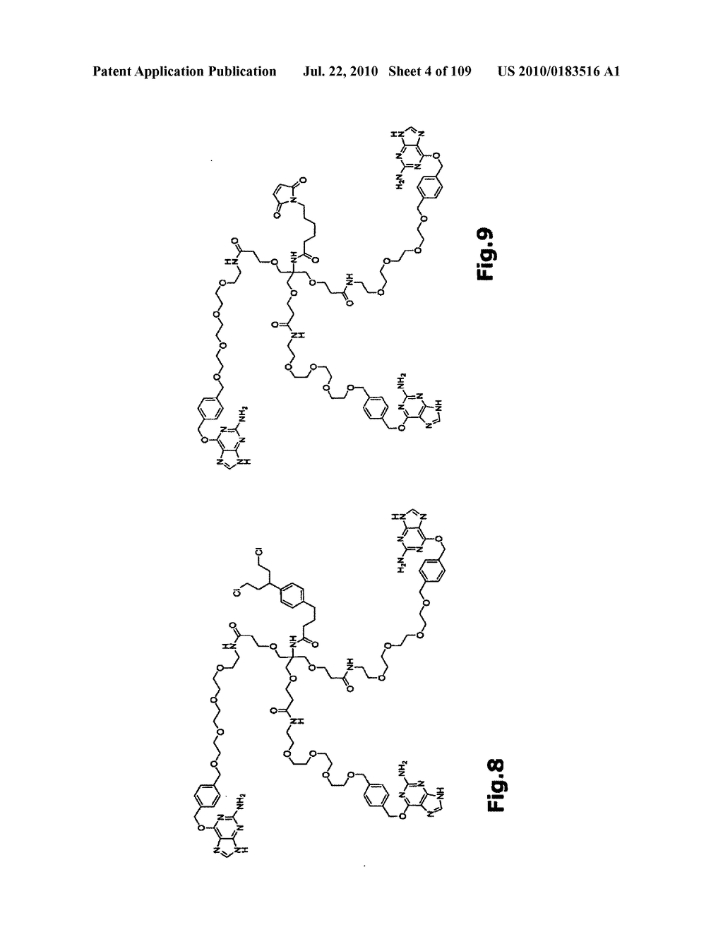 SELF COUPLING RECOMBINANT ANTIBODY FUSION PROTEINS - diagram, schematic, and image 05