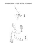 SELF COUPLING RECOMBINANT ANTIBODY FUSION PROTEINS diagram and image