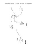 SELF COUPLING RECOMBINANT ANTIBODY FUSION PROTEINS diagram and image