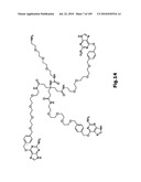 SELF COUPLING RECOMBINANT ANTIBODY FUSION PROTEINS diagram and image