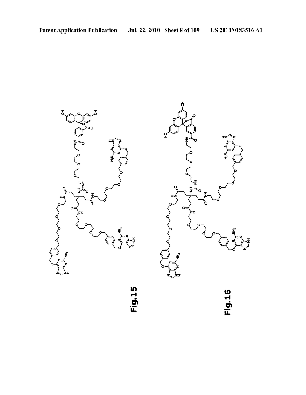 SELF COUPLING RECOMBINANT ANTIBODY FUSION PROTEINS - diagram, schematic, and image 09