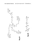 SELF COUPLING RECOMBINANT ANTIBODY FUSION PROTEINS diagram and image