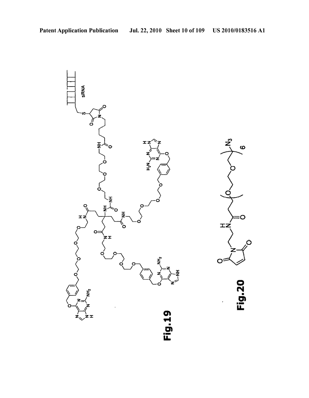 SELF COUPLING RECOMBINANT ANTIBODY FUSION PROTEINS - diagram, schematic, and image 11