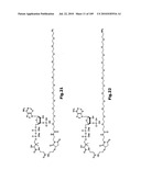 SELF COUPLING RECOMBINANT ANTIBODY FUSION PROTEINS diagram and image