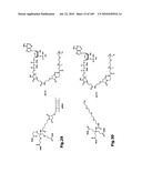 SELF COUPLING RECOMBINANT ANTIBODY FUSION PROTEINS diagram and image