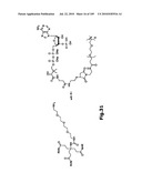 SELF COUPLING RECOMBINANT ANTIBODY FUSION PROTEINS diagram and image