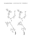 SELF COUPLING RECOMBINANT ANTIBODY FUSION PROTEINS diagram and image