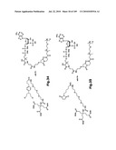 SELF COUPLING RECOMBINANT ANTIBODY FUSION PROTEINS diagram and image