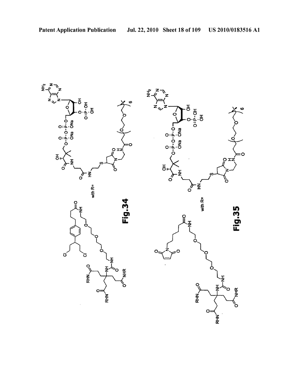 SELF COUPLING RECOMBINANT ANTIBODY FUSION PROTEINS - diagram, schematic, and image 19