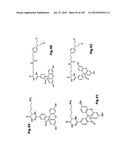 SELF COUPLING RECOMBINANT ANTIBODY FUSION PROTEINS diagram and image