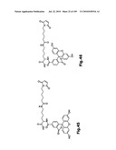 SELF COUPLING RECOMBINANT ANTIBODY FUSION PROTEINS diagram and image