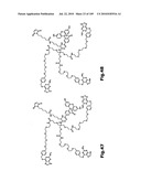 SELF COUPLING RECOMBINANT ANTIBODY FUSION PROTEINS diagram and image