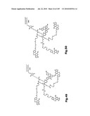 SELF COUPLING RECOMBINANT ANTIBODY FUSION PROTEINS diagram and image