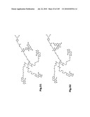 SELF COUPLING RECOMBINANT ANTIBODY FUSION PROTEINS diagram and image