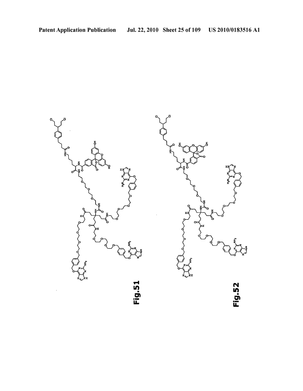 SELF COUPLING RECOMBINANT ANTIBODY FUSION PROTEINS - diagram, schematic, and image 26