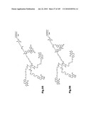 SELF COUPLING RECOMBINANT ANTIBODY FUSION PROTEINS diagram and image