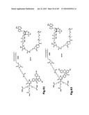 SELF COUPLING RECOMBINANT ANTIBODY FUSION PROTEINS diagram and image