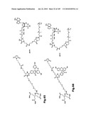 SELF COUPLING RECOMBINANT ANTIBODY FUSION PROTEINS diagram and image