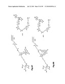 SELF COUPLING RECOMBINANT ANTIBODY FUSION PROTEINS diagram and image