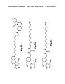 SELF COUPLING RECOMBINANT ANTIBODY FUSION PROTEINS diagram and image