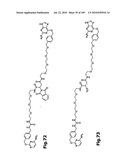 SELF COUPLING RECOMBINANT ANTIBODY FUSION PROTEINS diagram and image