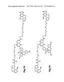 SELF COUPLING RECOMBINANT ANTIBODY FUSION PROTEINS diagram and image