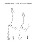 SELF COUPLING RECOMBINANT ANTIBODY FUSION PROTEINS diagram and image