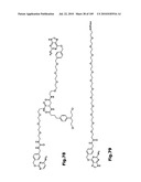 SELF COUPLING RECOMBINANT ANTIBODY FUSION PROTEINS diagram and image